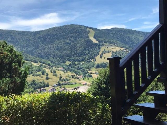 Bois Vue Panoramique : 2 Et Sauna Bussang